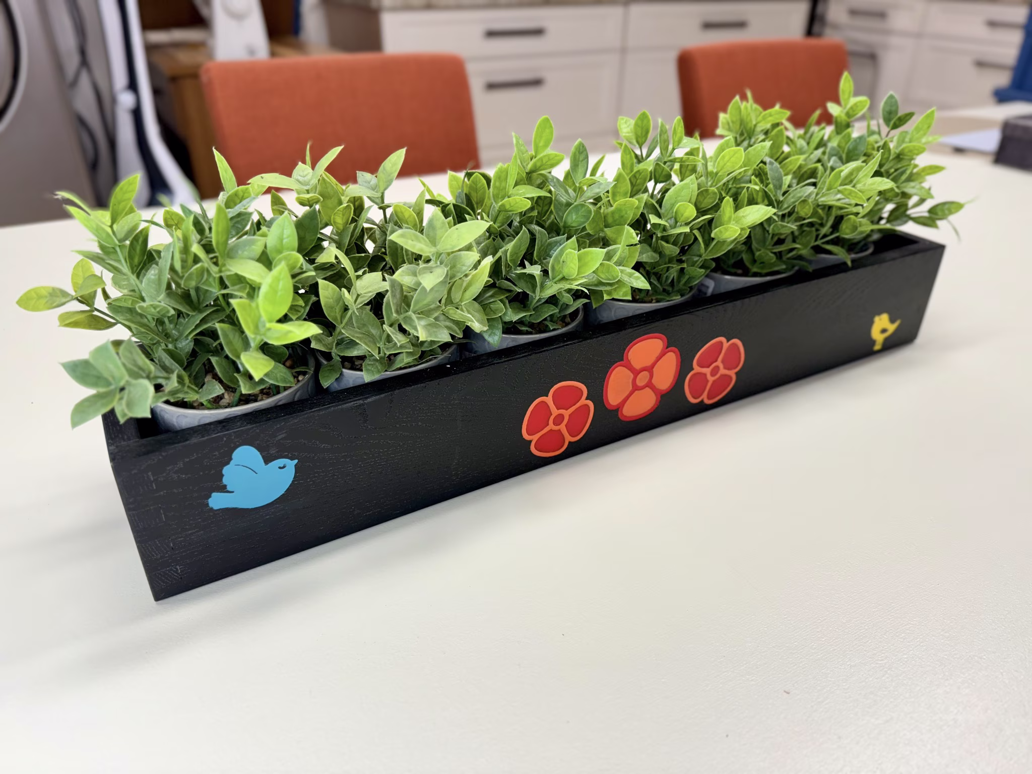 North in Summer IMG_0821.avif