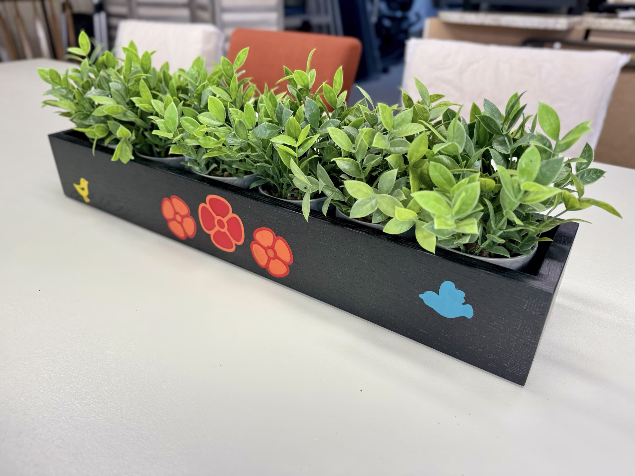 South in Winter IMG_0822.avif